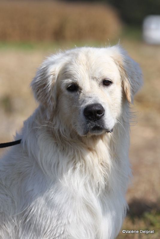 Field Erstein 09 (158).JPG